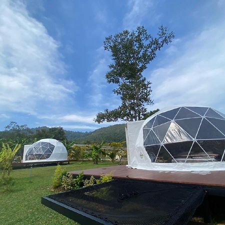 Cosy Garden Khao Sok Hotel Khao Sok National Park ภายนอก รูปภาพ