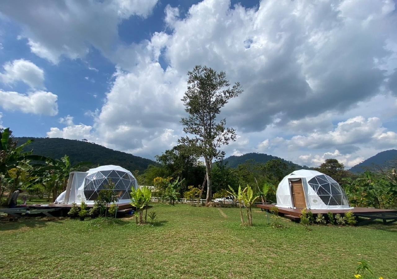 Cosy Garden Khao Sok Hotel Khao Sok National Park ภายนอก รูปภาพ