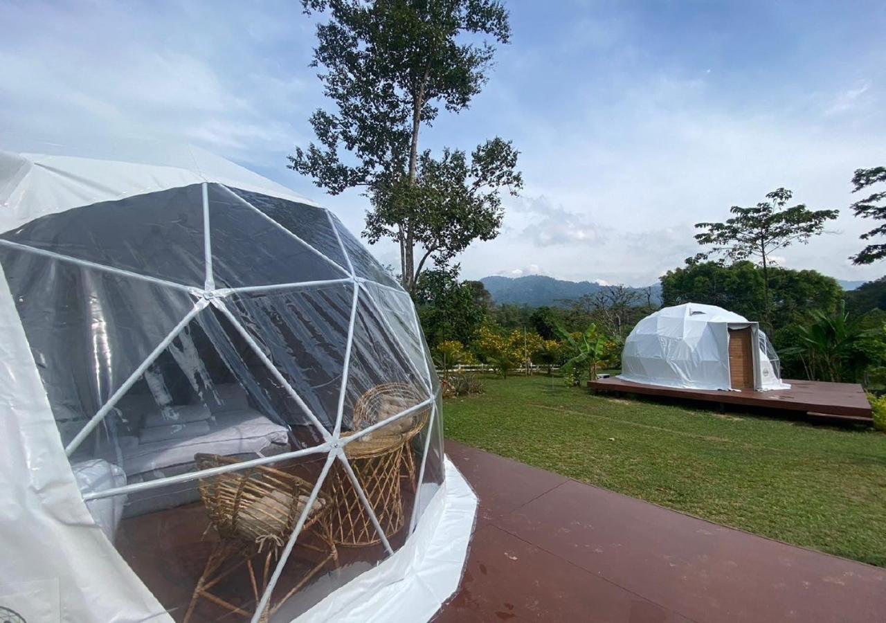 Cosy Garden Khao Sok Hotel Khao Sok National Park ภายนอก รูปภาพ