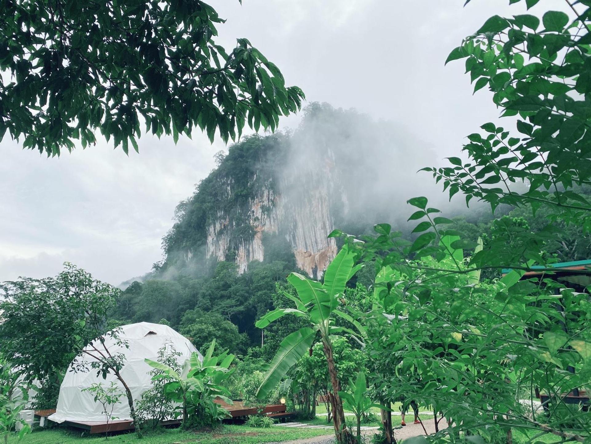 Cosy Garden Khao Sok Hotel Khao Sok National Park ภายนอก รูปภาพ